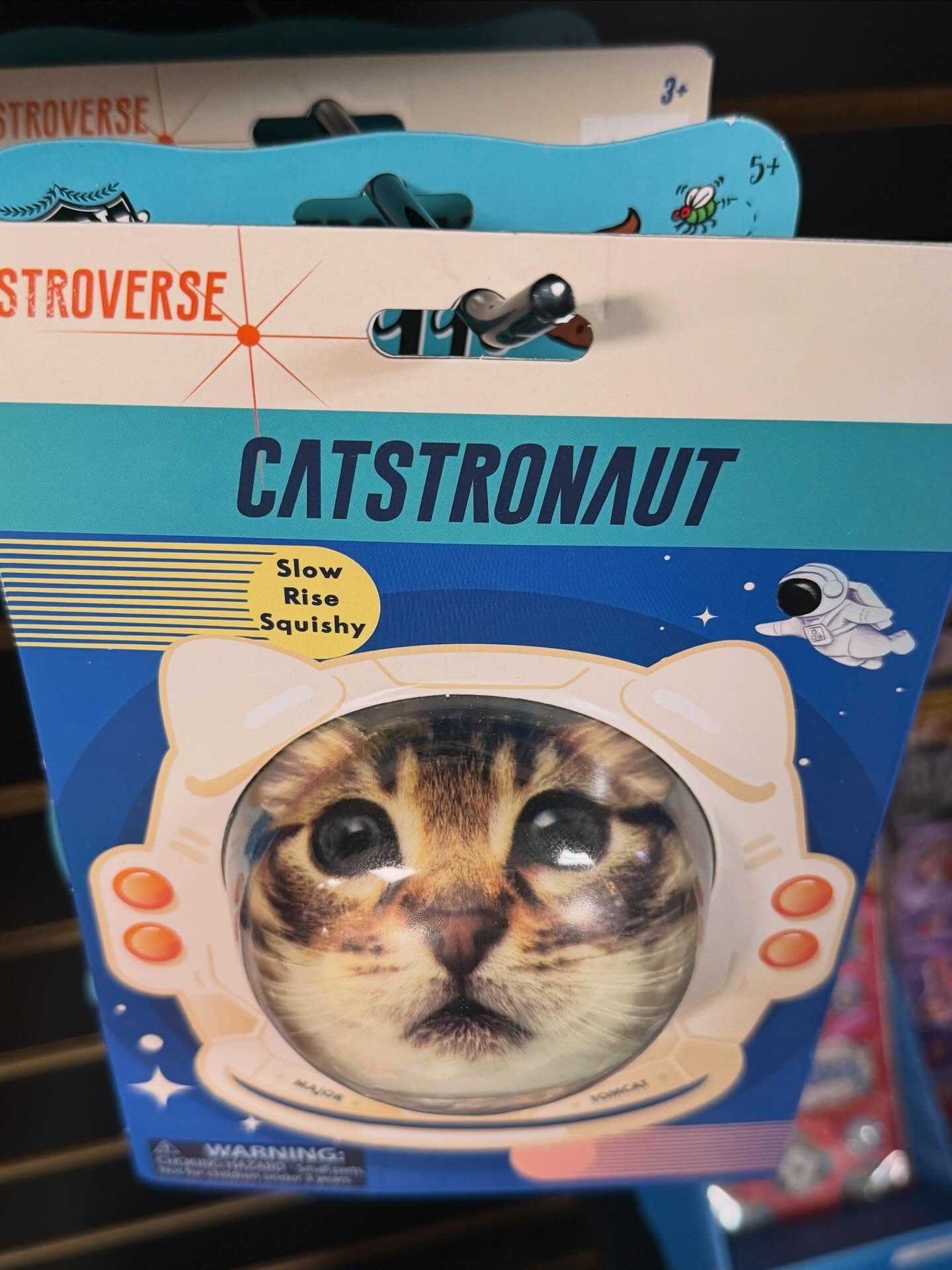 For the person who has everything! I bet they don&rsquo;t have a squishy catsronaut. It&rsquo;s purrrrfect. 😸

#thrillsville618 #edwardsville #stockingstuffers #holidayszn #festivus #holidays #smallbusiness #shoplocal #squishy #catstronaut