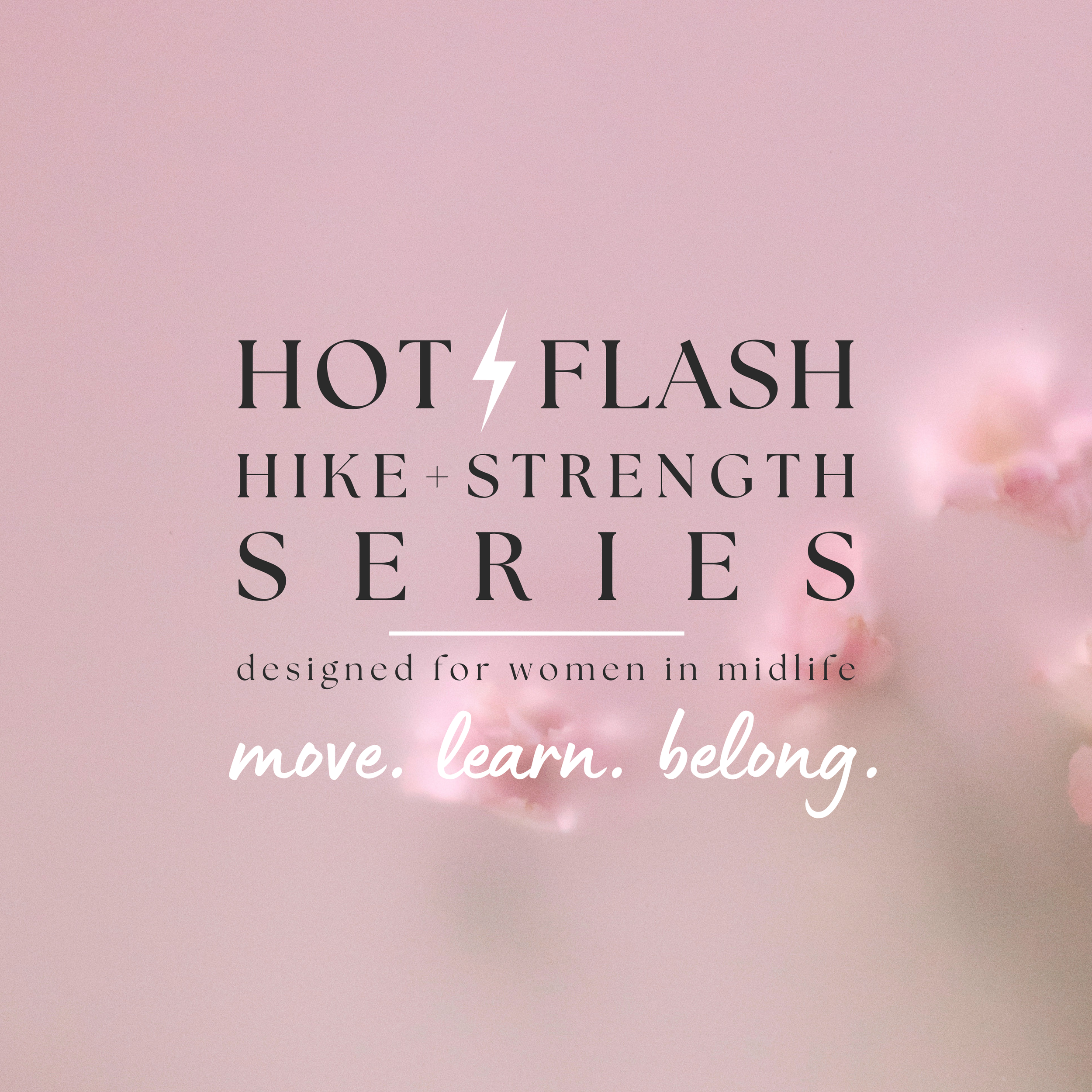 website image.png
