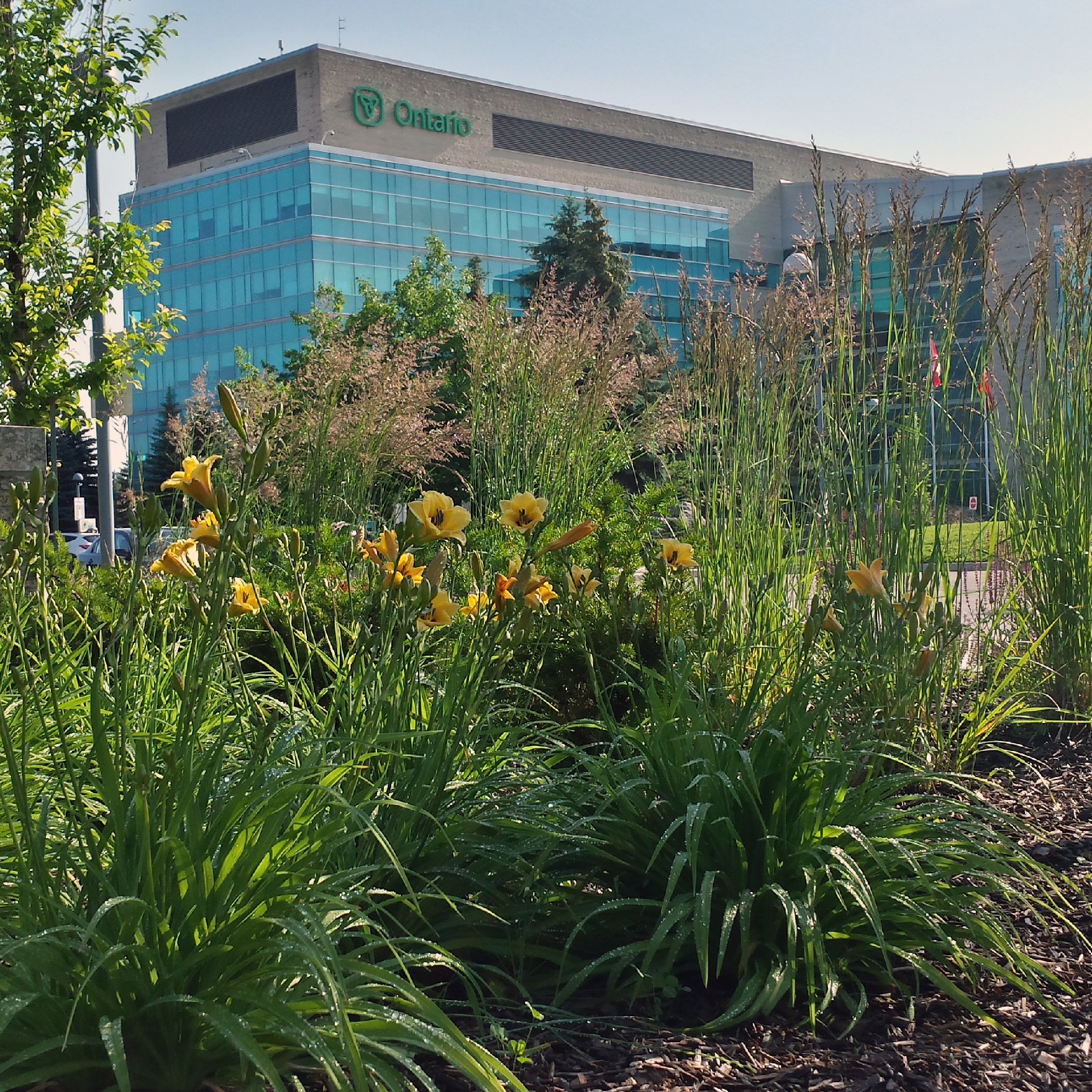 Government of Ontario Stone Road Complex, Guelph ON landscaping