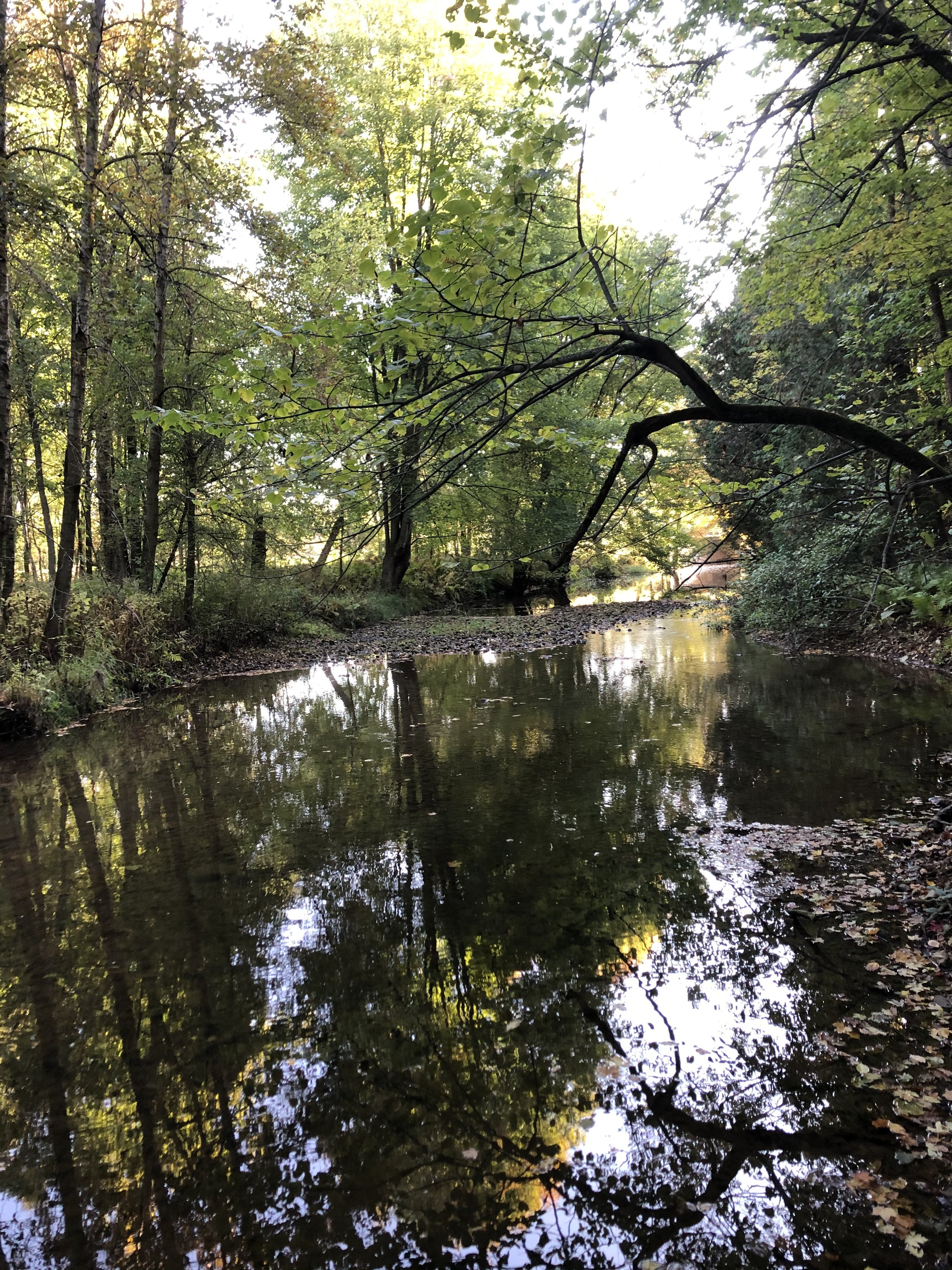 Watercourse in Harriston, Ontario
