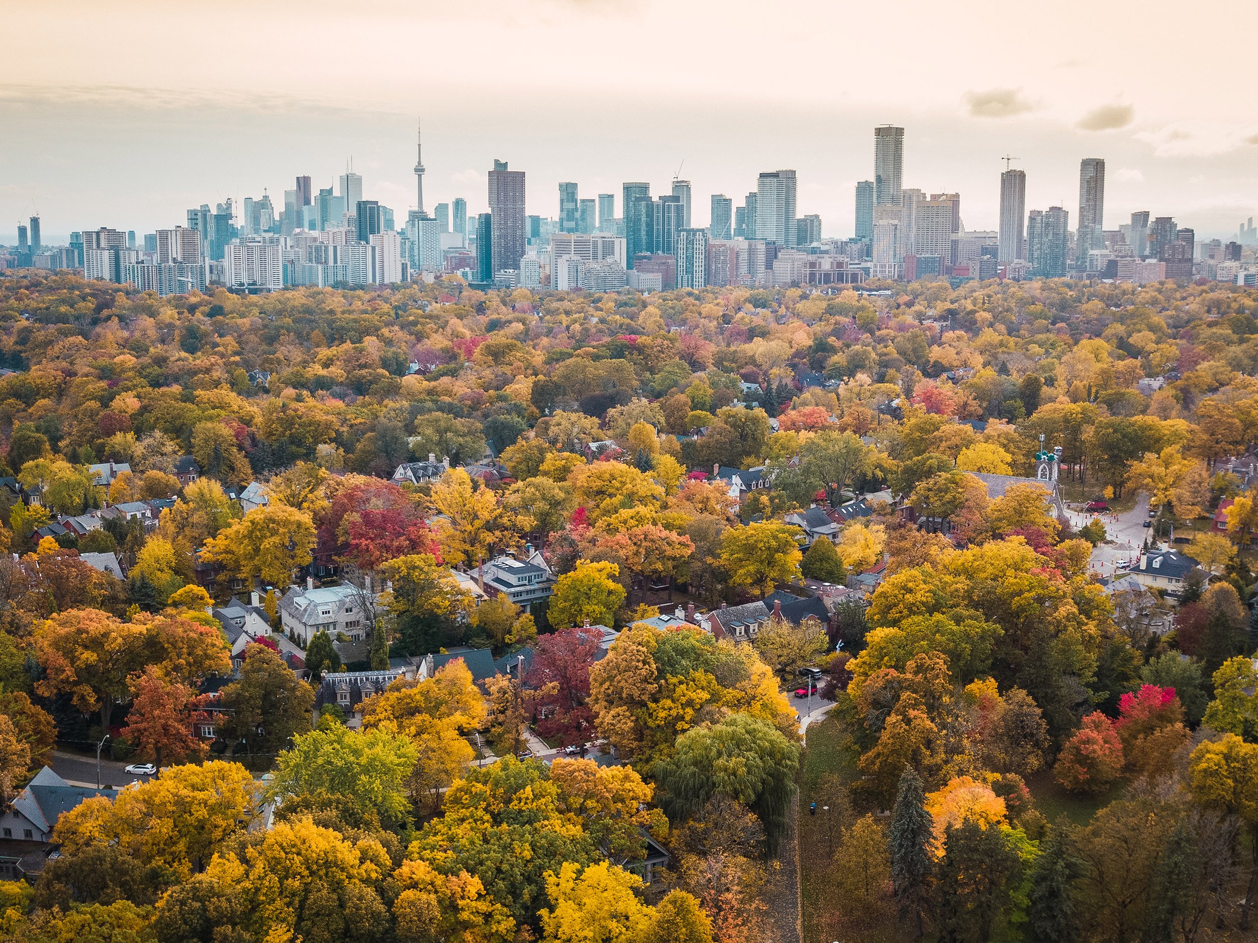 The City of Toronto , Ontario's skyline with a clear view of some of its urban tree cover