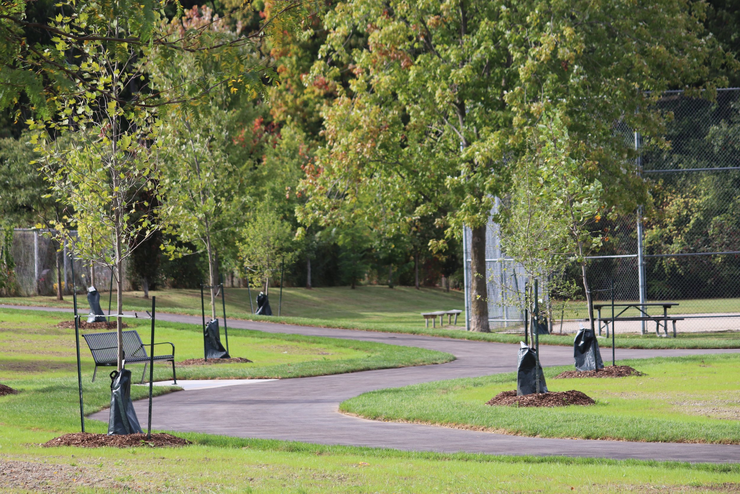 Trail with trees, a bench, a picnic table and a baseball diamond at a Kitchener Park