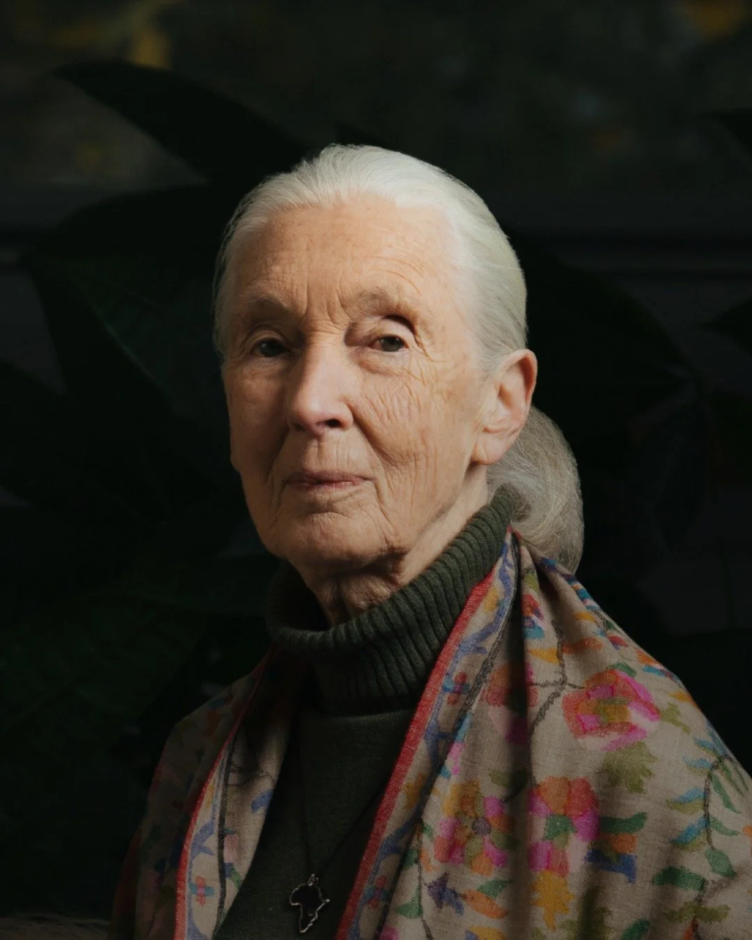 In loving memory of Dr. Jane Goodall, Founder of the Jane Goodall Institute and UN Messenger of Peace. 🕊️

We remember and honour the life of Dr. Jane Goodall&ndash;a true environmental champion and symbol of hope and resilience. 

Her inspiring wor