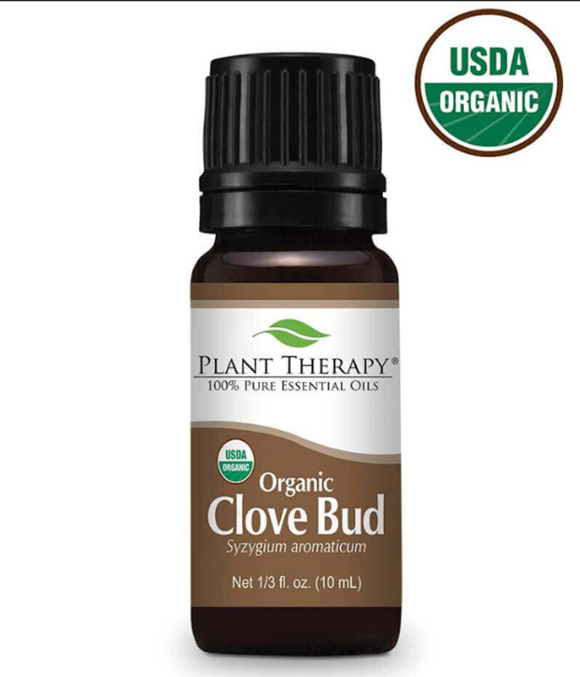 Clove Bud.png
