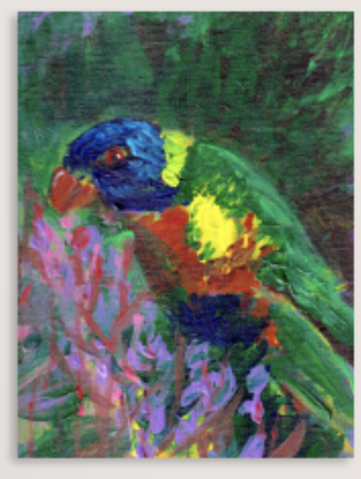 Title -Feast of Colour

Medium - Acrylic and impasto on canvas board

Size of Original – A4 8-1/4 x 11-3/4 in, 210 x 297 mm

Year – 2026

Description - Inspired by the lorikeets nesting in our garden, this piece depicts a rainbow lorikeet feasting on