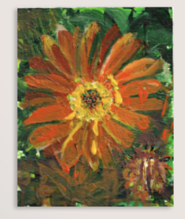 Screenshot 2026-02-13 at 20.03.39.png