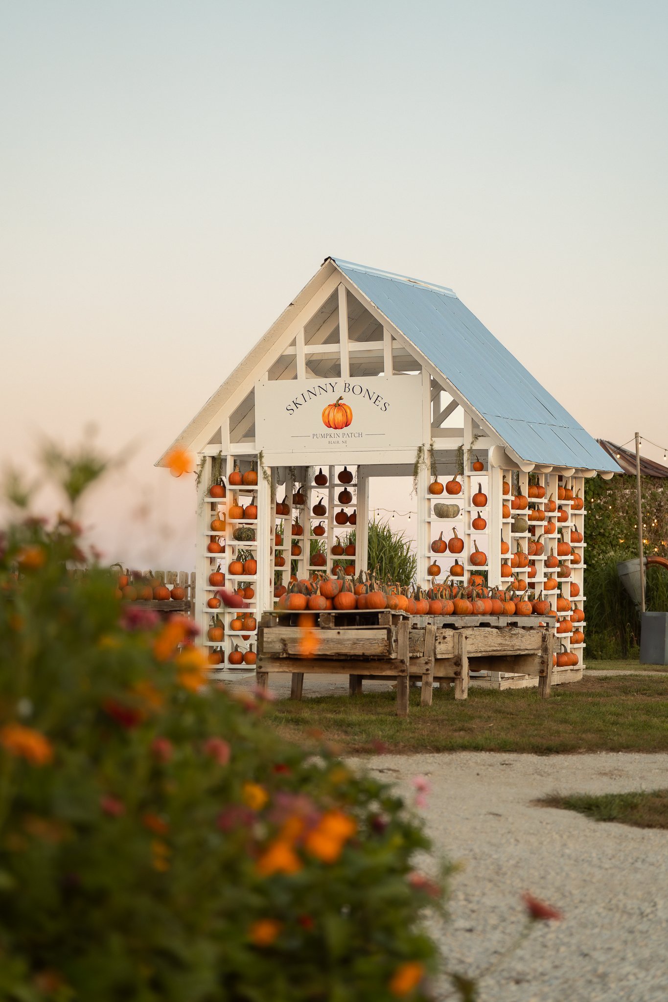 omaha-event-photography-skinny-bones-pumpkin-patch-19.jpg