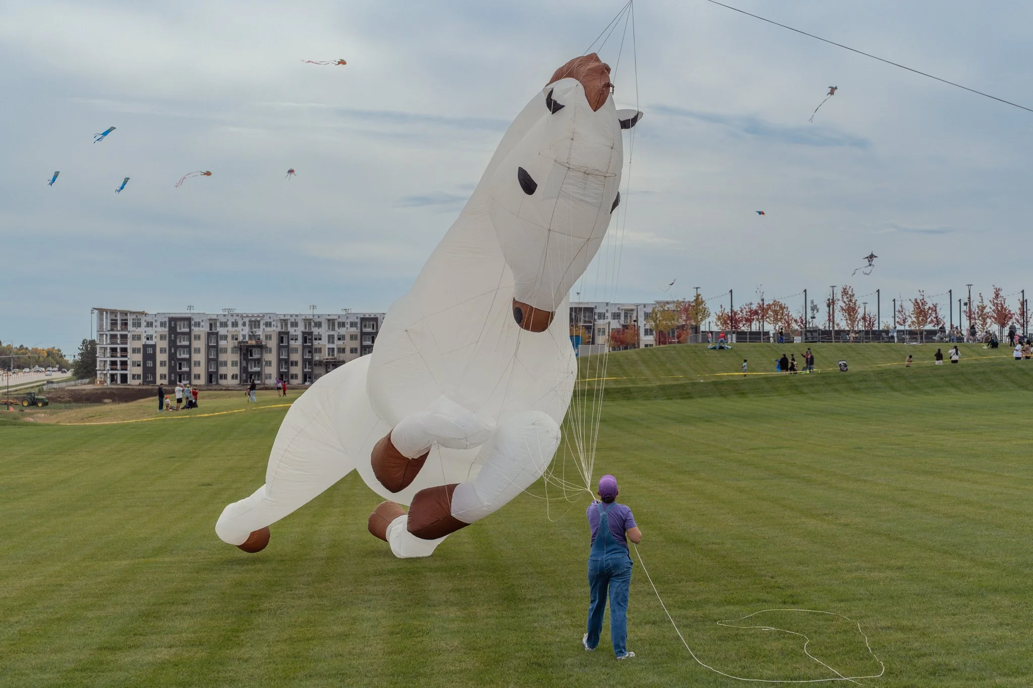 kindred26-heartwoodpreserve-kitefestival-2025-22.jpg