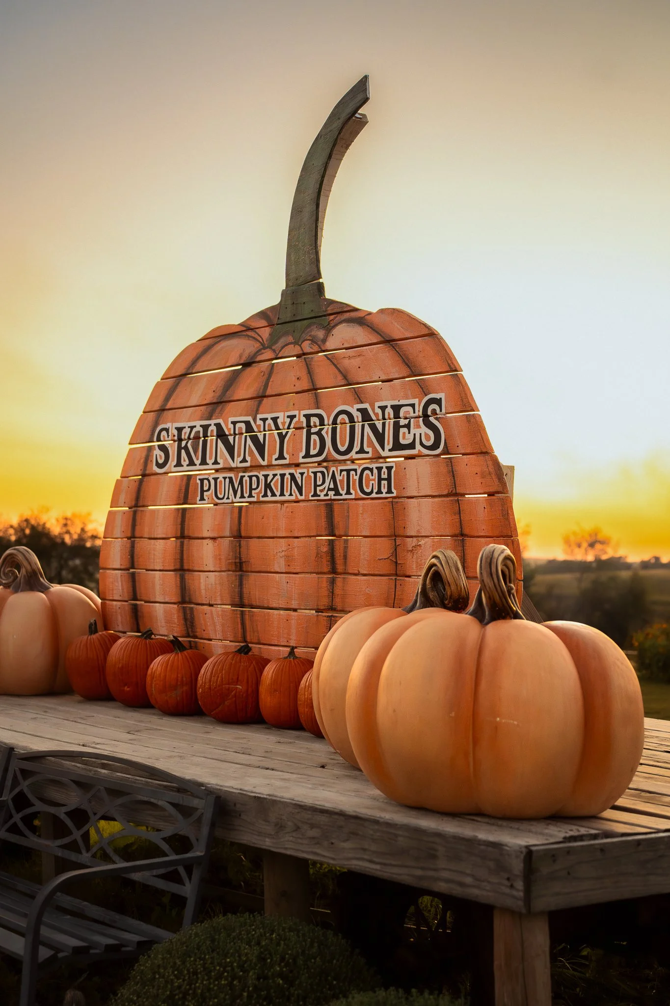 omaha-event-photography-skinny-bones-pumpkin-patch-20.jpg