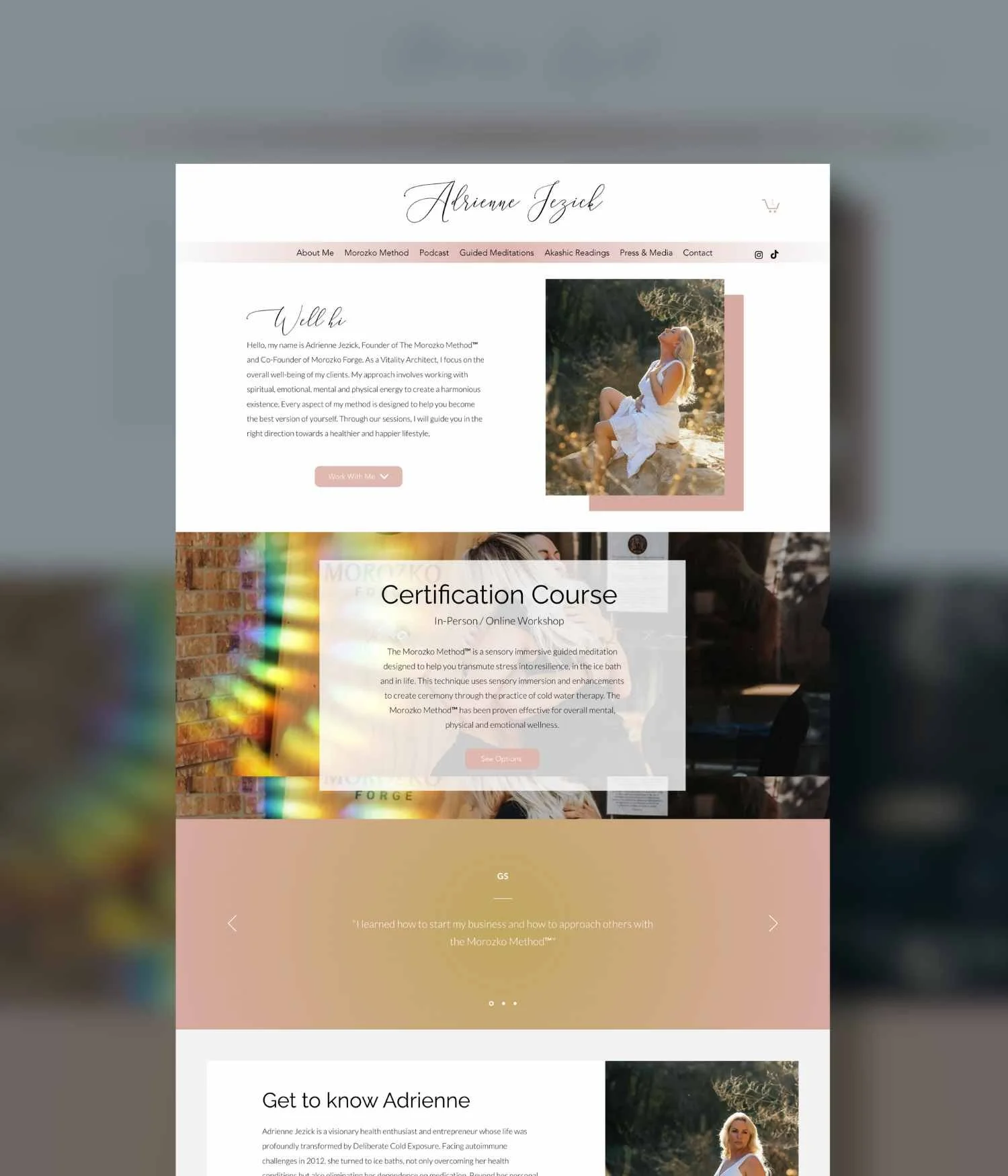 Adrienne Jezick website preview