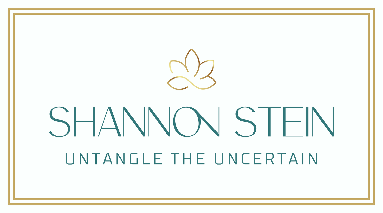 Shannon Stein - Untangle the Uncertain