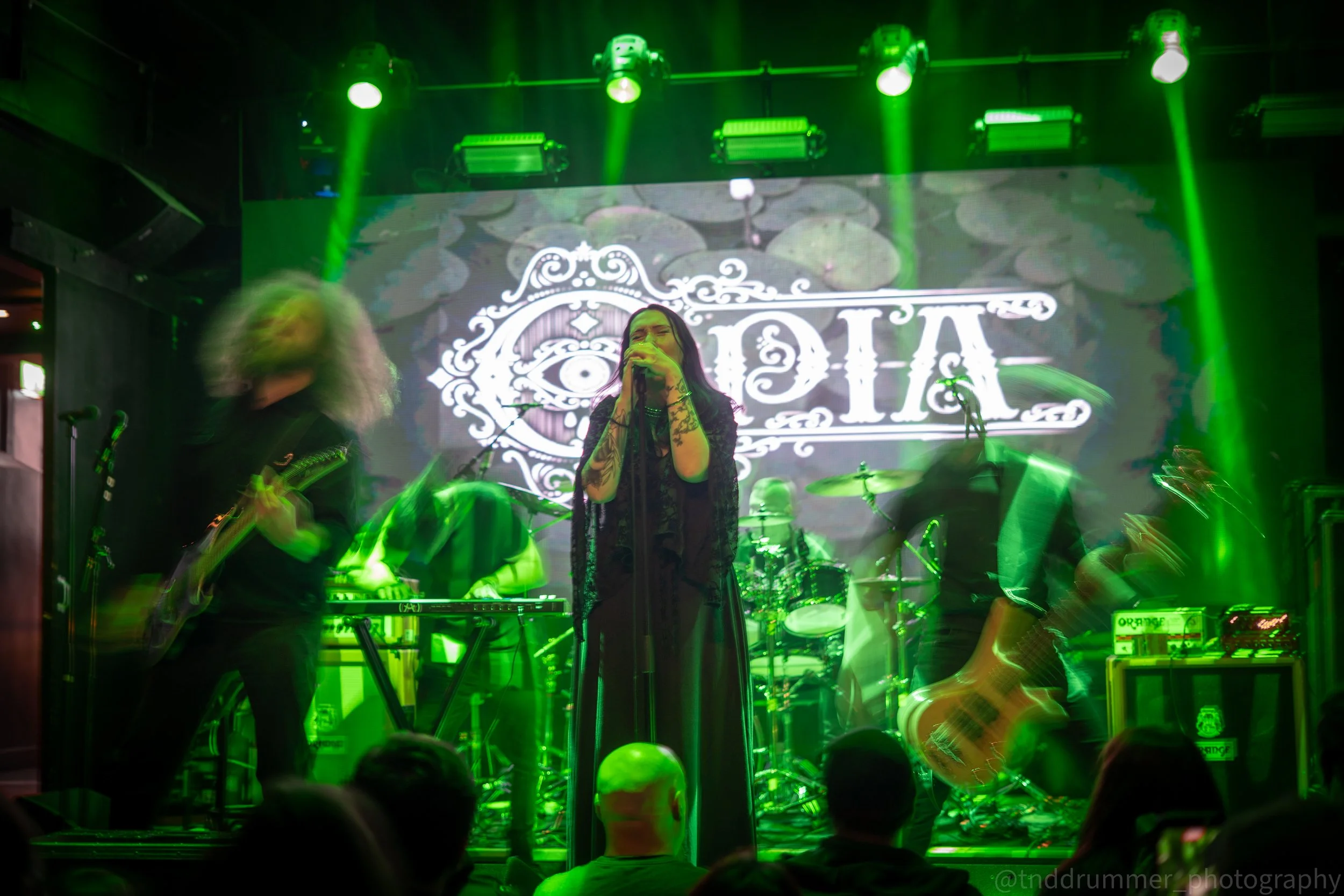 DSC02229-2.jpg