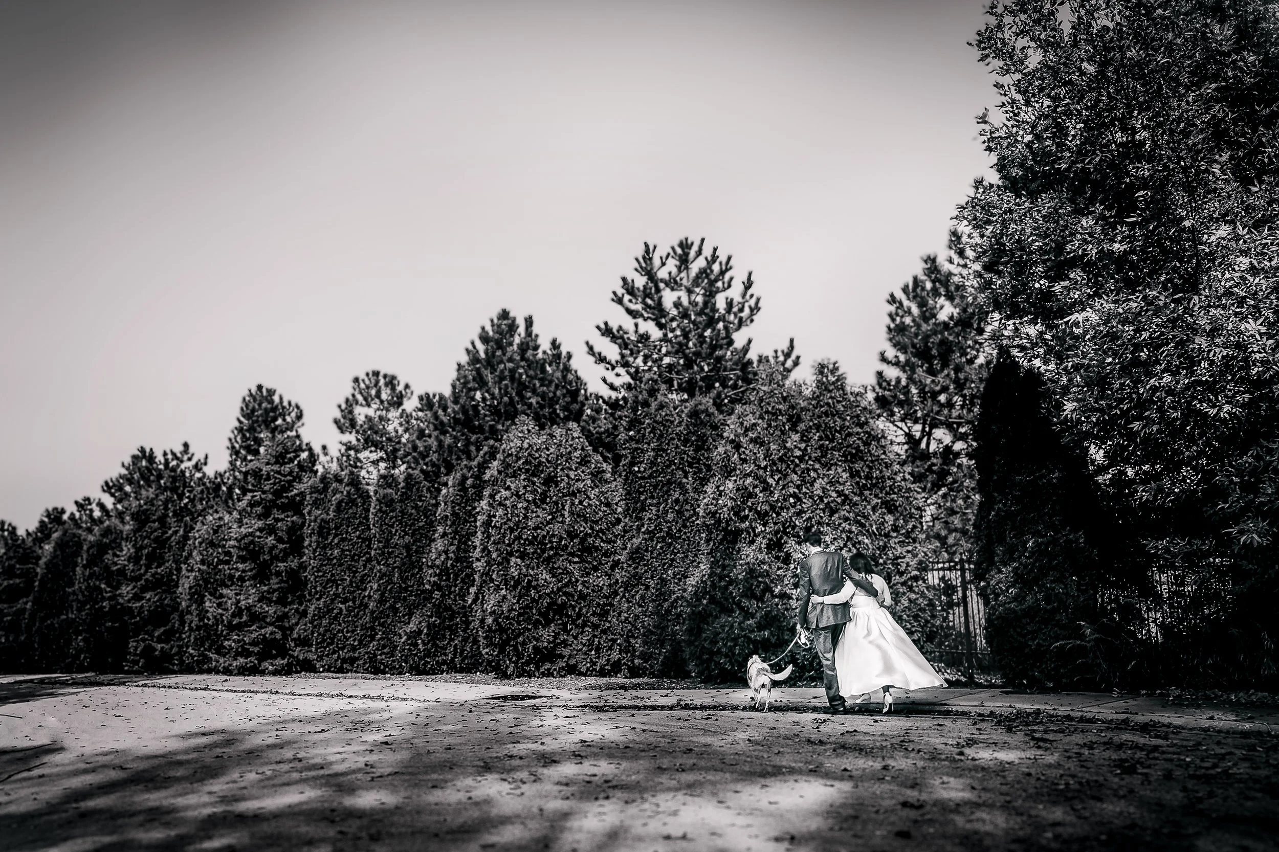 What to Look for When Hiring an Austin Wedding Photographer (Including Engagement Sessions)