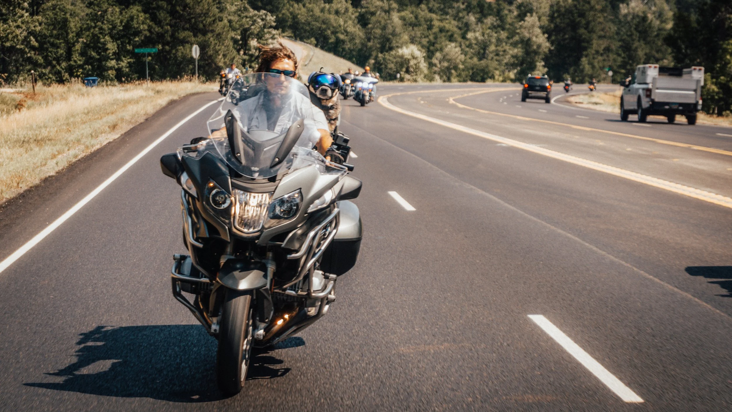 Rowdy Hound Dog Motorcycle Training Guide — Rowdy Hound