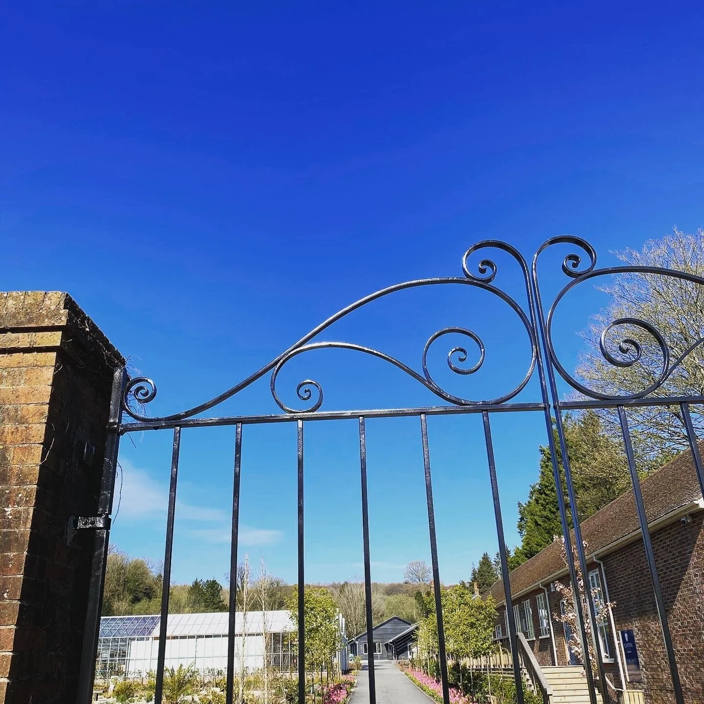 forged gate scrollwork