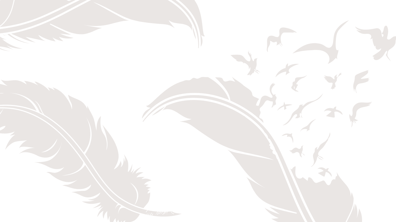 Steel Feather Senior Fitness