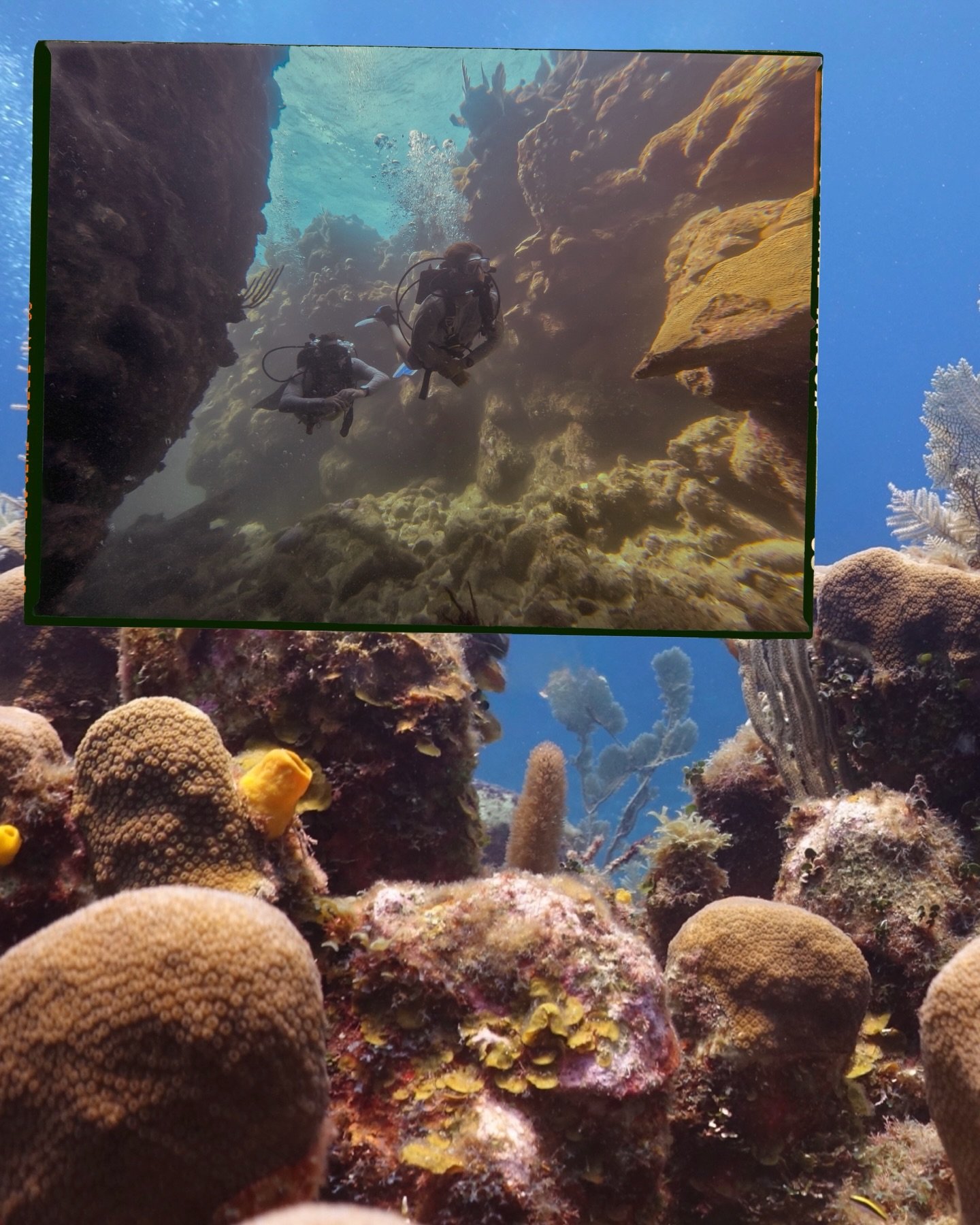 DON&rsquo;T BUY OUR CORAL SEABREEZE&hellip;

&mdash; it might have you booking a ticket to the first island that pops up in your search bar just to find what inspired it.

#watermanoutfitters
#diveintoadventure