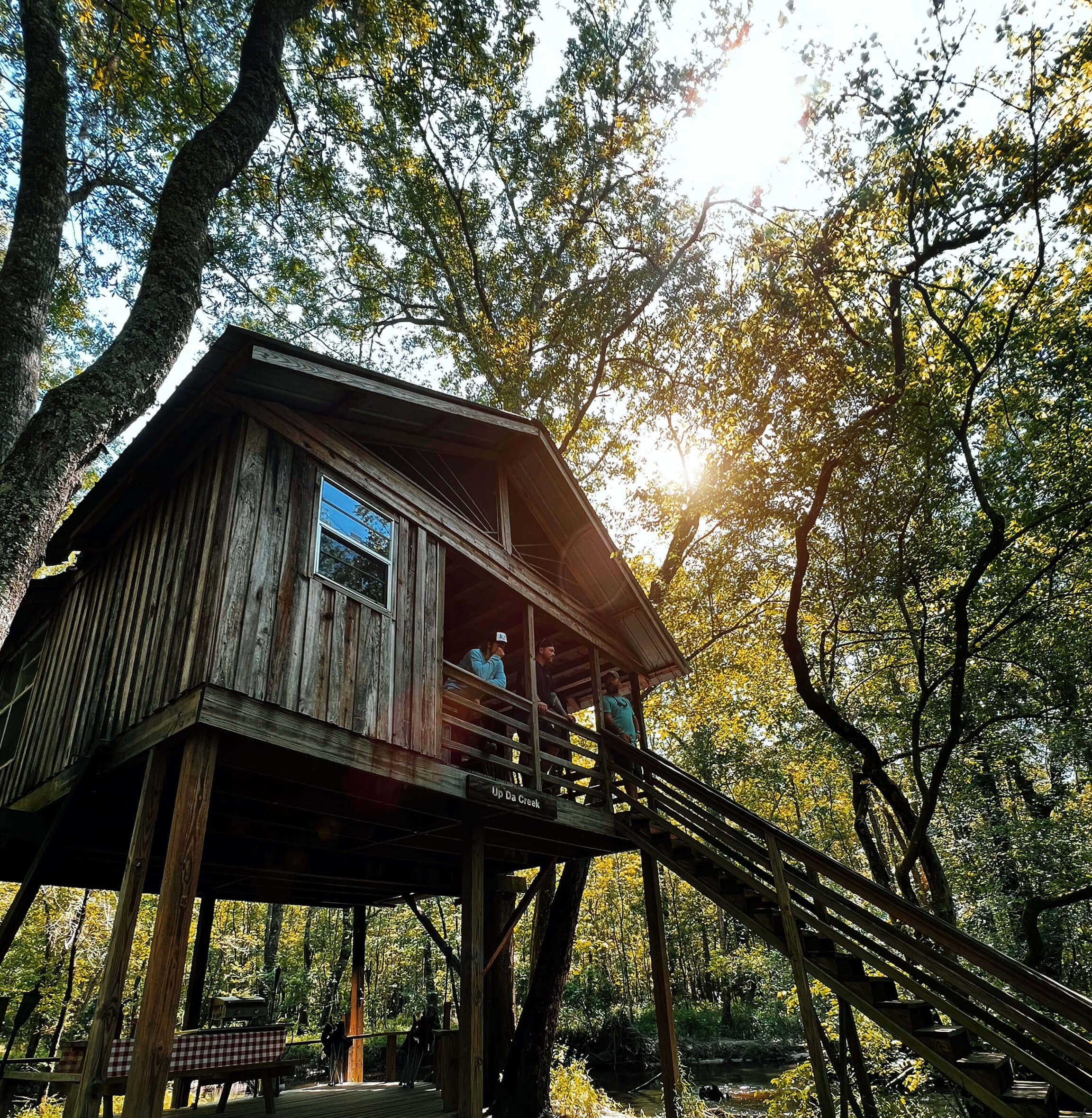 Illustration of Rent Luxury Off Grid Treehouse Near City