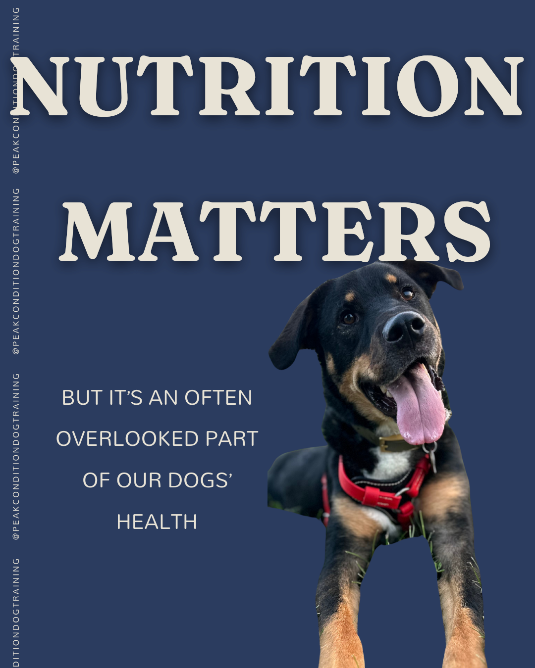 Nutrition Matters