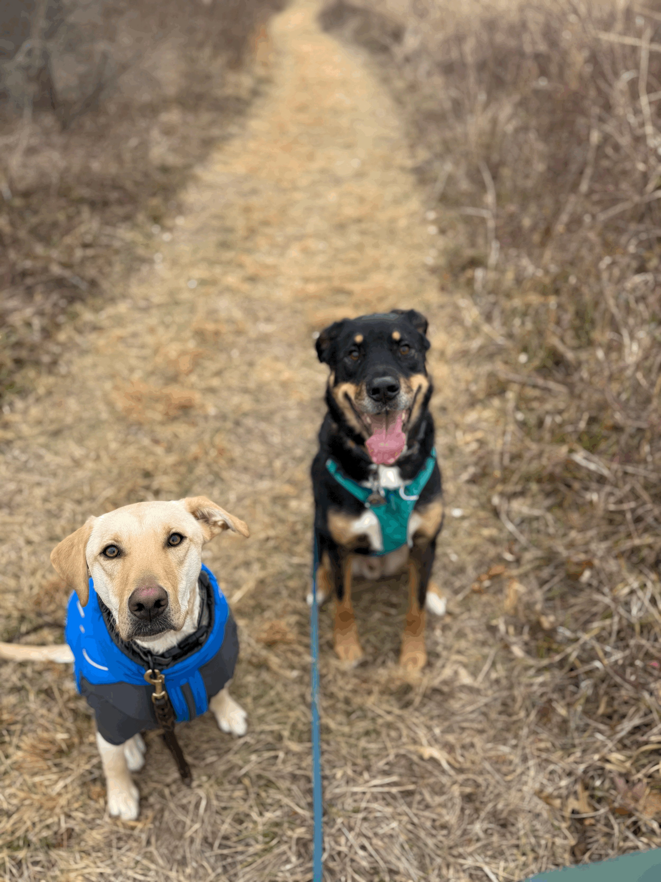 Tuck Sit &amp; Rock Back Sit