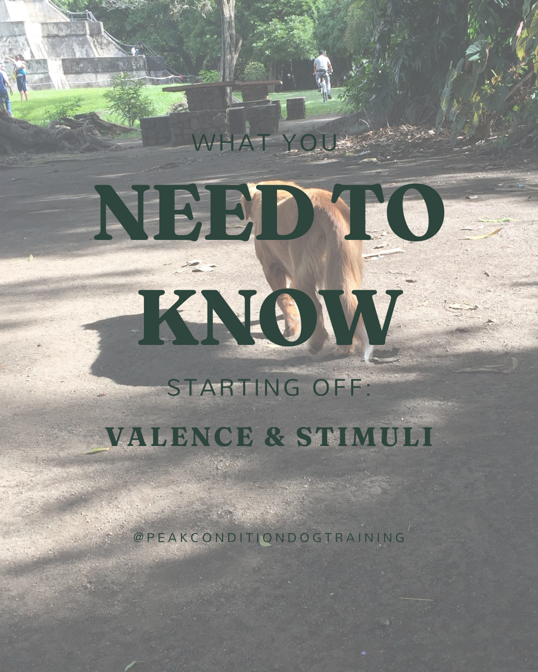 What You Need to Know Starting Off: Valence &amp; Stimuli