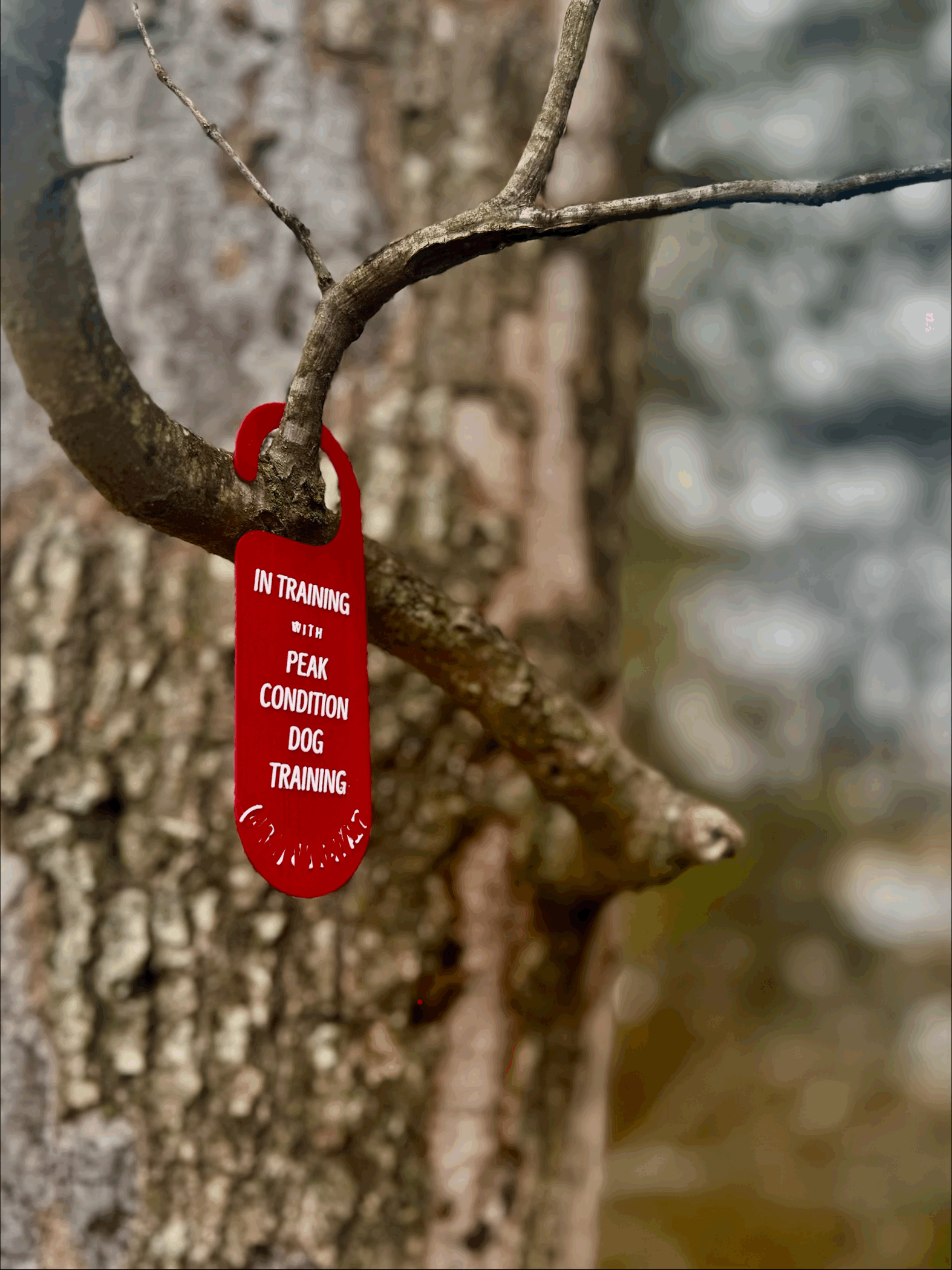 Removable Crate Tag - Custom