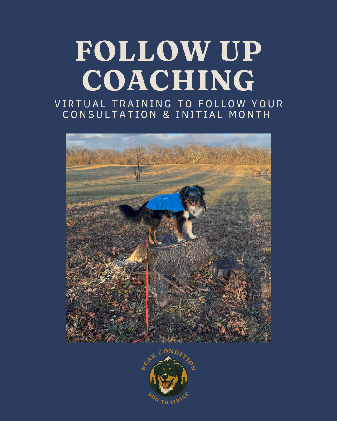 Follow Up Training