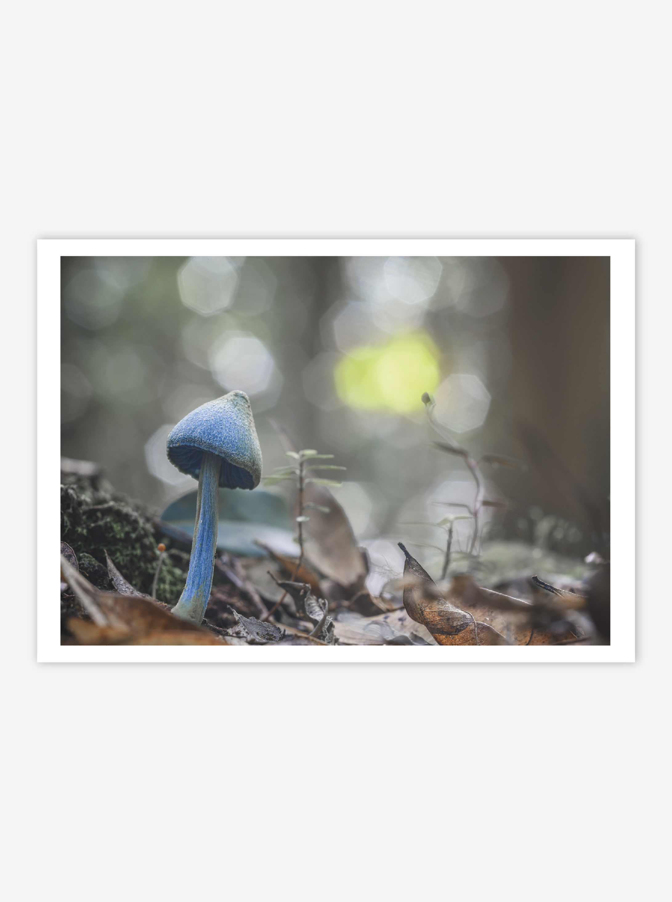 DTD-Print Shop-44.png