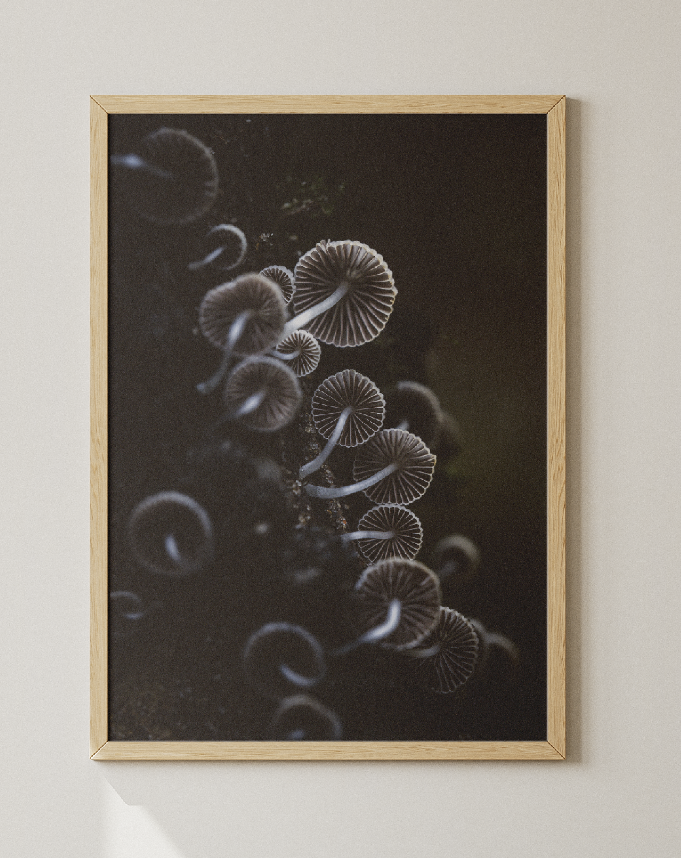 DTD-Prints-09.png