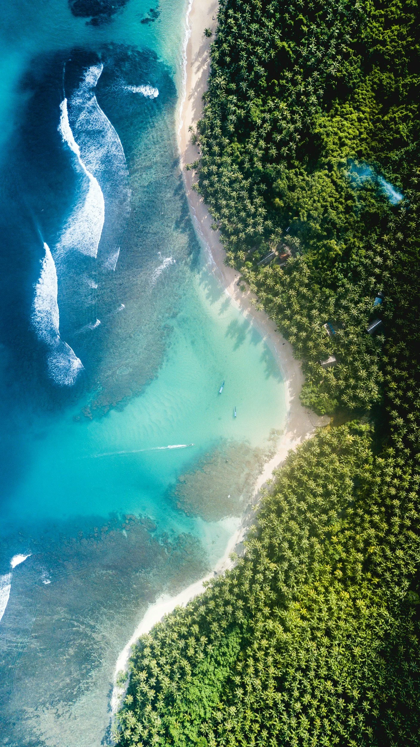An aerial view of a tropical beach with clear turquoise water, white sandy shores, and dense green palm trees.