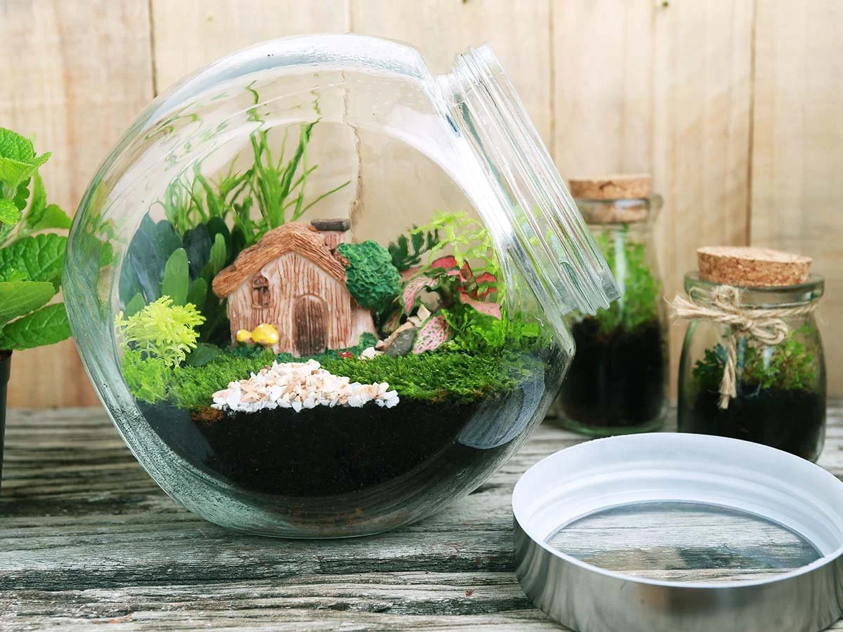 Check out this site to see how to make a terrarium!!