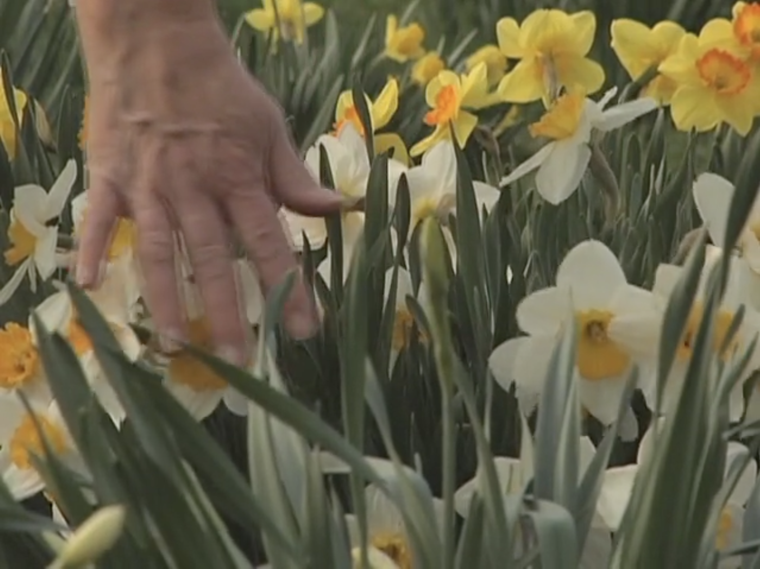 Screenshot 2025-12-16 at 10.44.49 AM.png