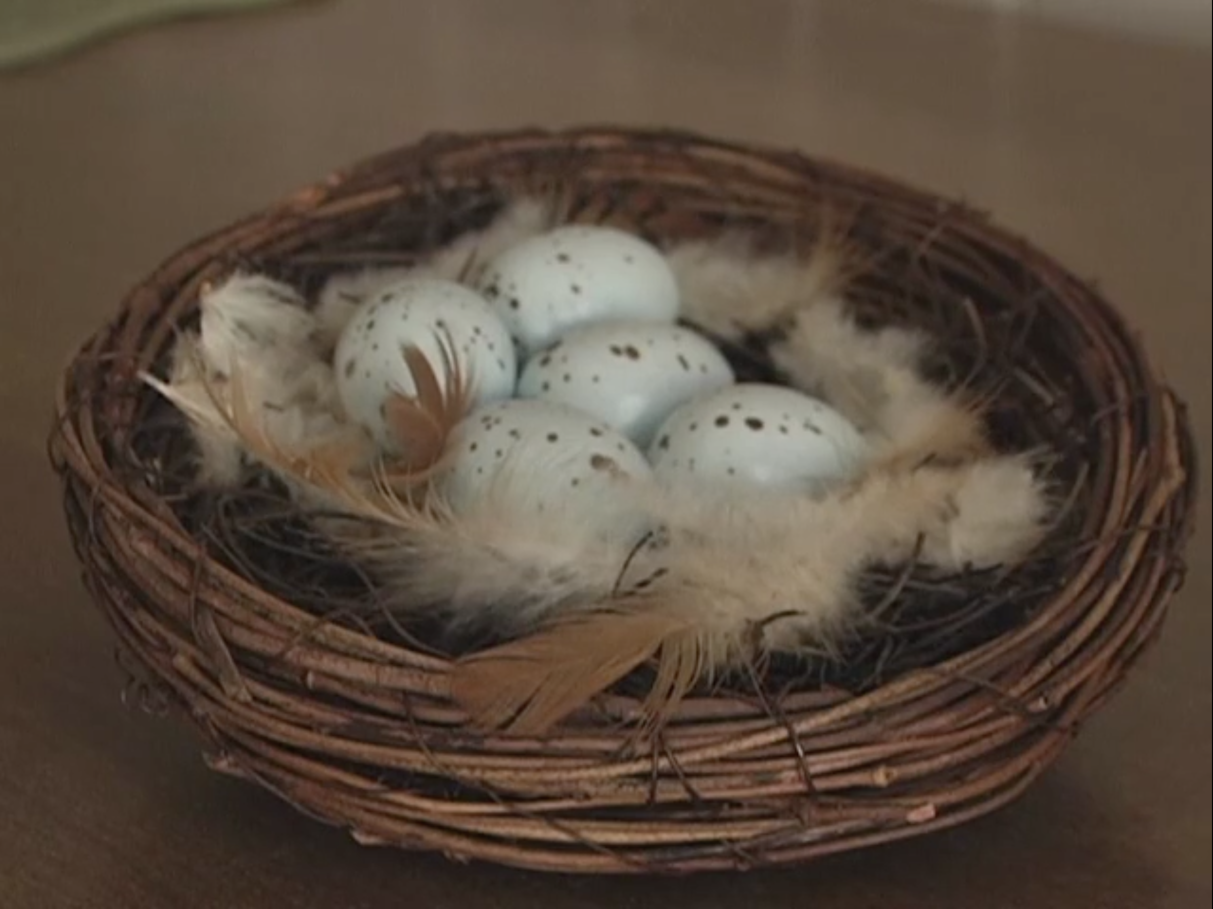 Screenshot 2025-12-16 at 10.45.20 AM.png