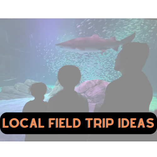 Unleash Your Inner Explorer: Exciting Field Trip Ideas for Homeschoolers!