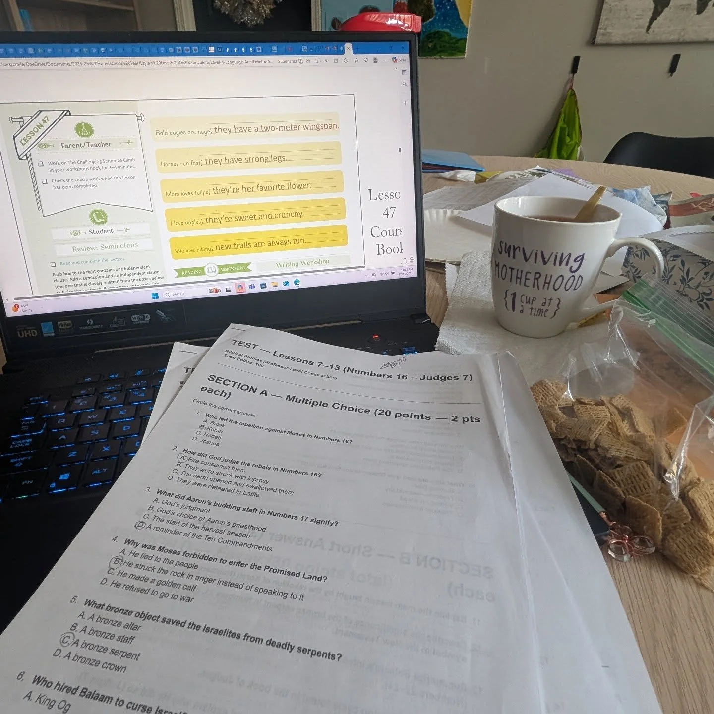 My view this morning. Lots of tests, assessments and grading today. It's the last day of school for us in 2025!