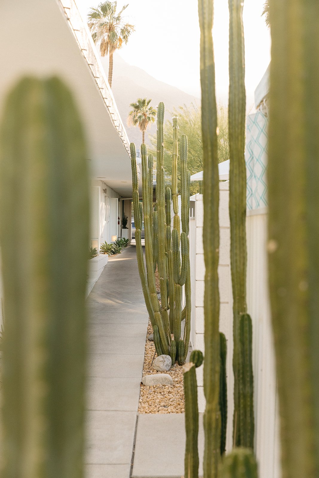 AbbyCox-SkylarkHotel-PalmSprings-13.jpg