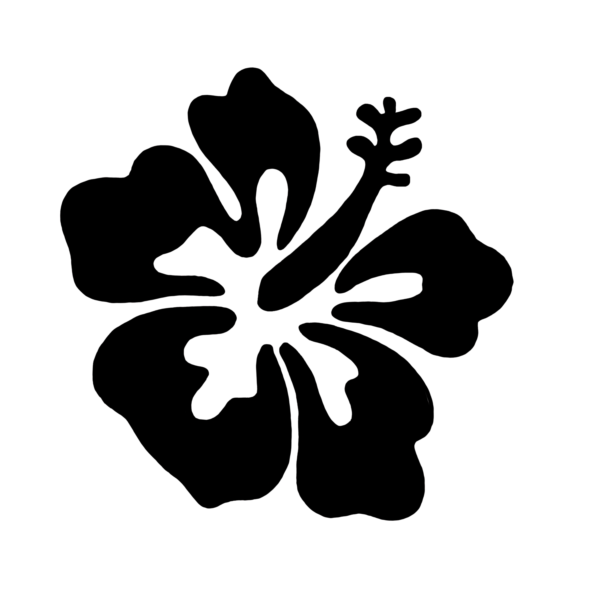 Outline of various underwater plants and coral on the ocean floor.