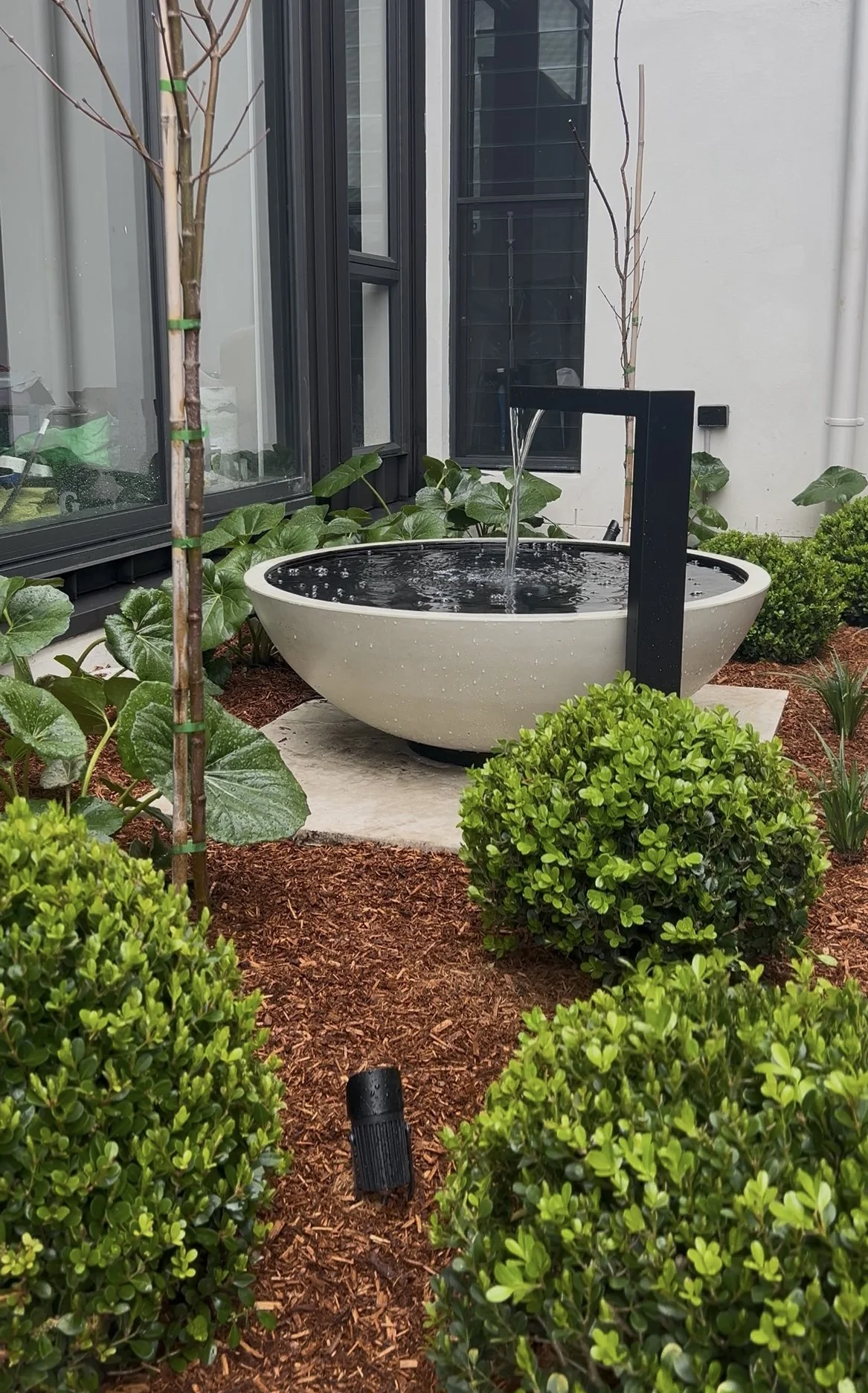 Outdoor garden with a modern fountain, shrubs, small trees, and a windowed building in the background.