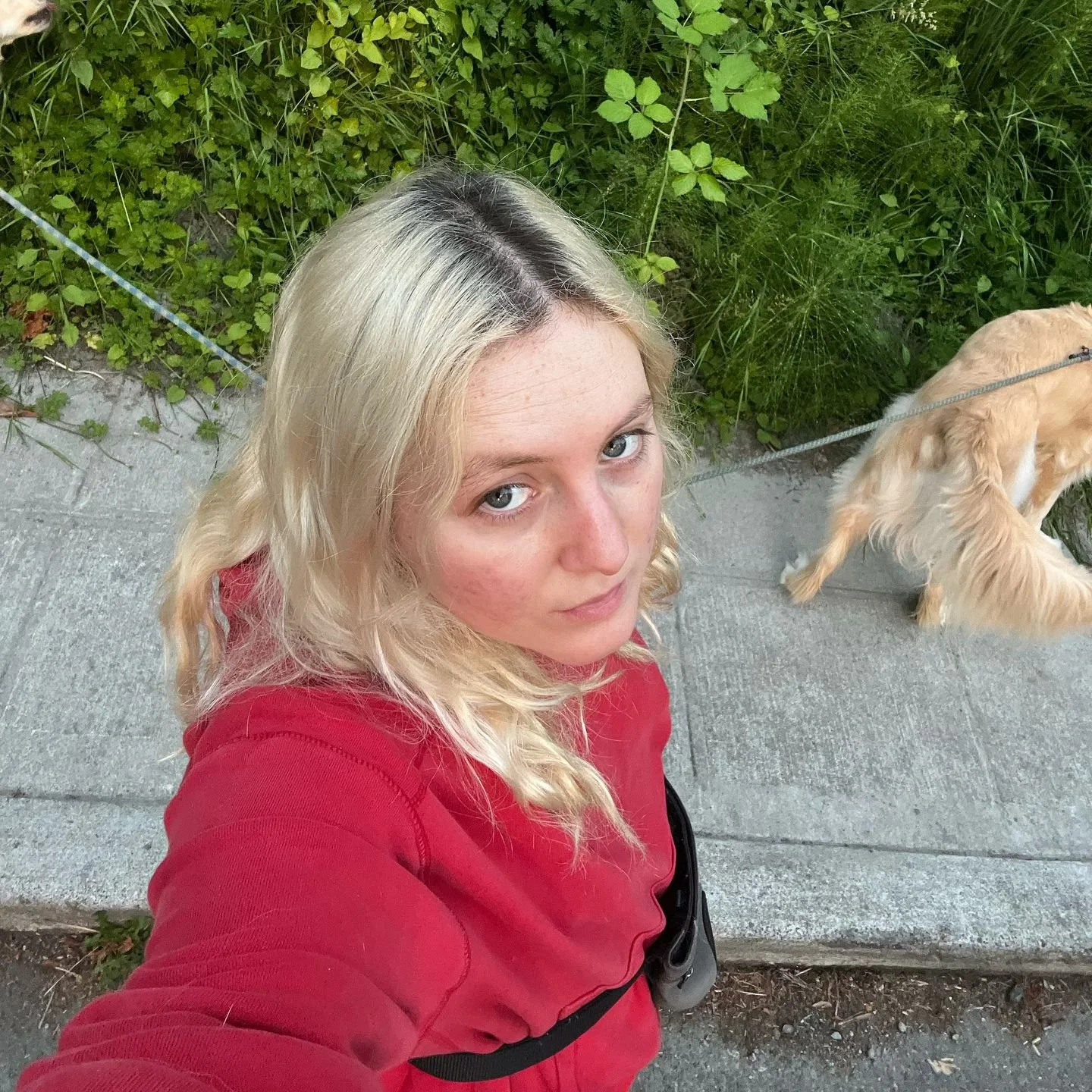 SEPTEMBER SHOW ANNOUNCEMENT 🐛

9/7 at Sunset Tavern, 8pm, $20, 21+. With Babes in Canyon and Camp Bedford. You might want to buy your tickets in advance for this one :) Ticket link in bio.