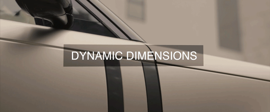 dynamic_dimensions.gif