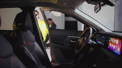 Kicks_Trim1.gif