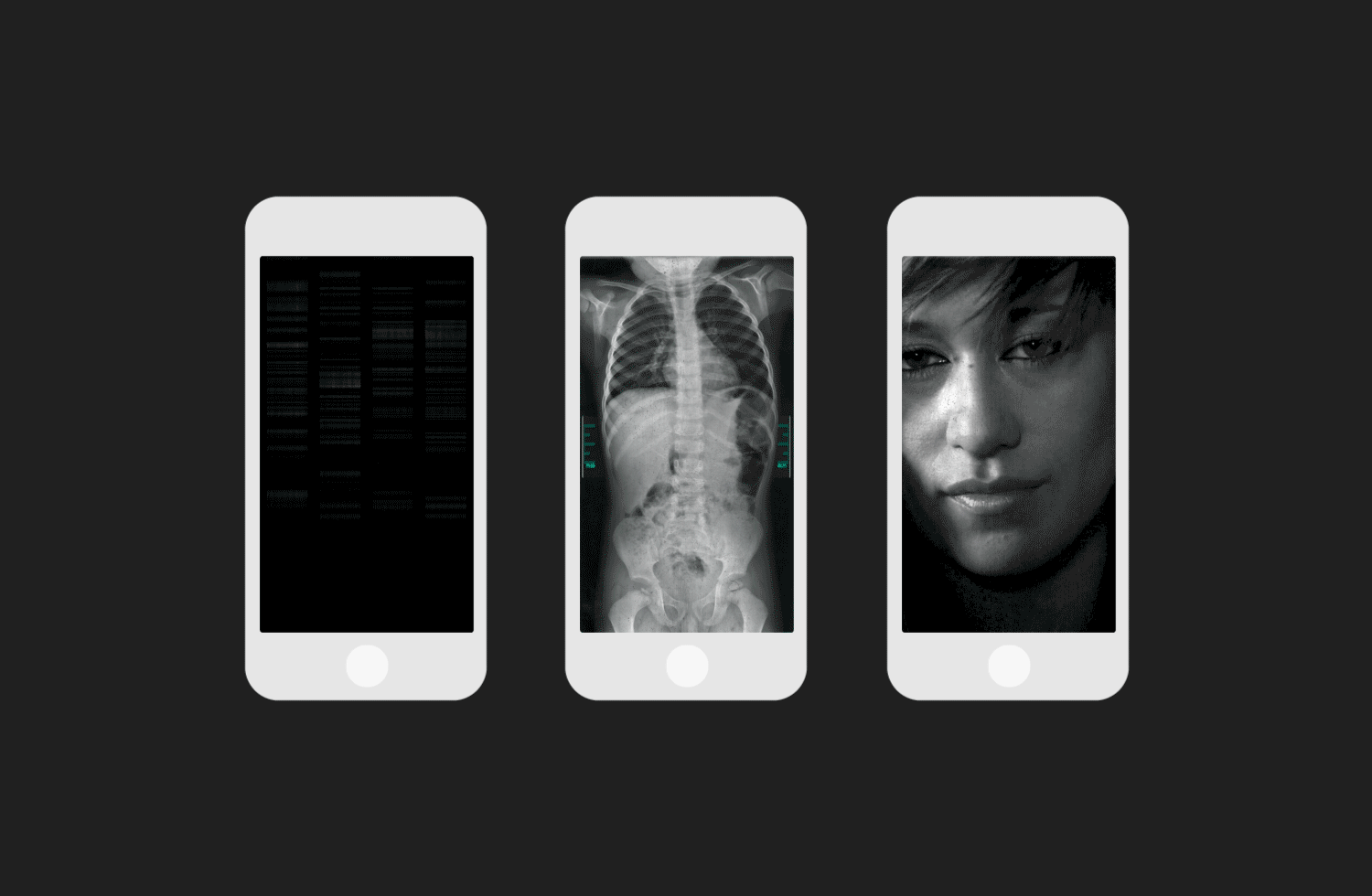FantomApp.gif