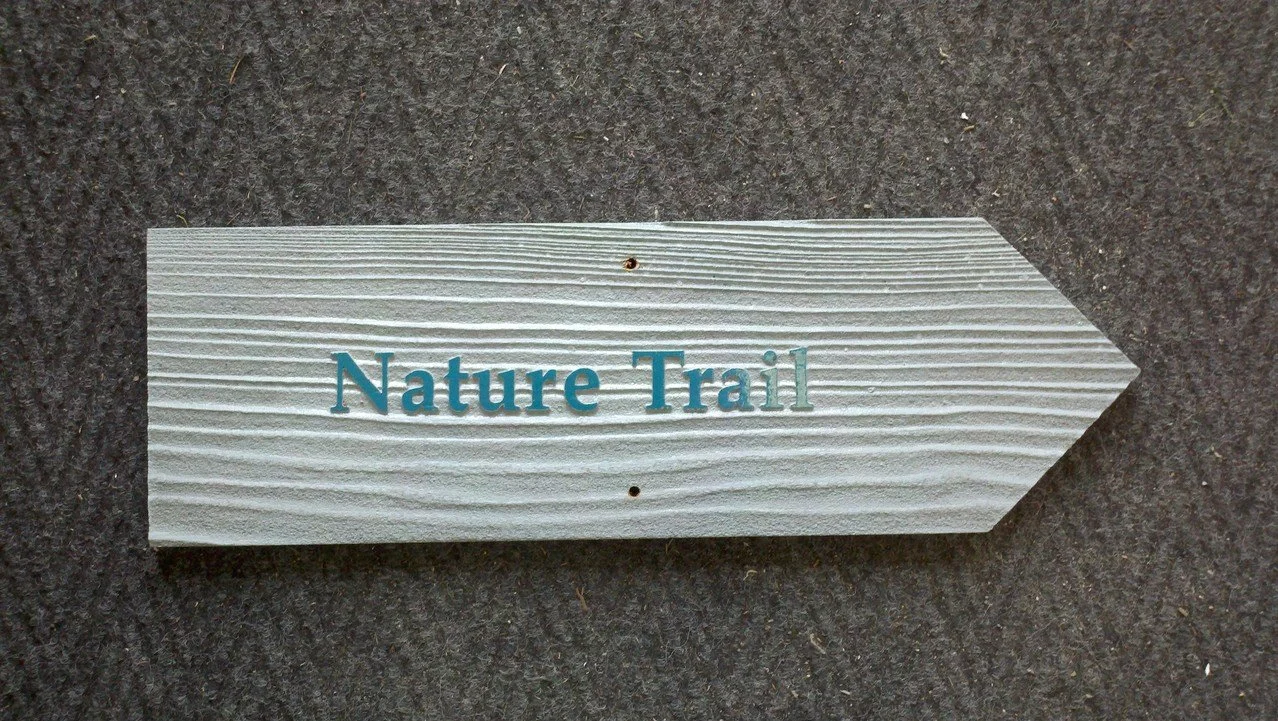 18 Miscellaneous.jpg