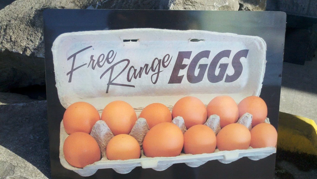 19 Miscellaneous.jpg