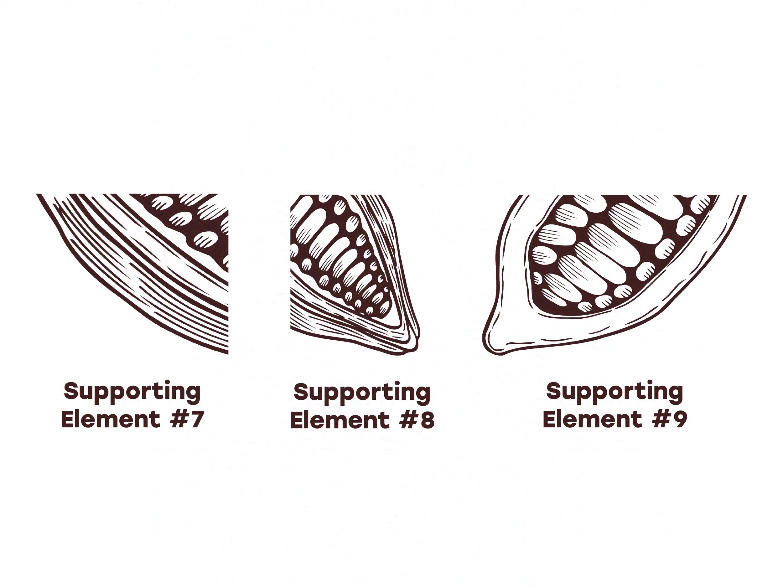 LBC+Squarespace+branding+supporting+elements+RD-3-nightshade-intensity-LOW-V1-protected-intensity-DEFAULT-V2.jpg