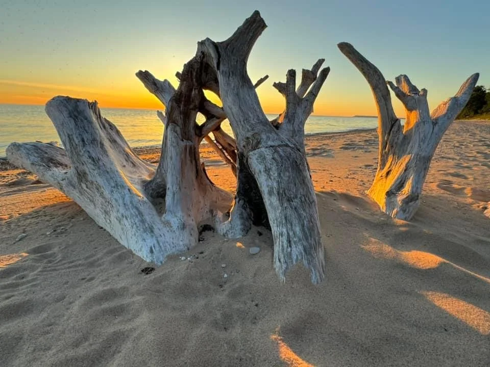 The New Year Isn’t About Reinventing Yourself.  It’s About Resetting.