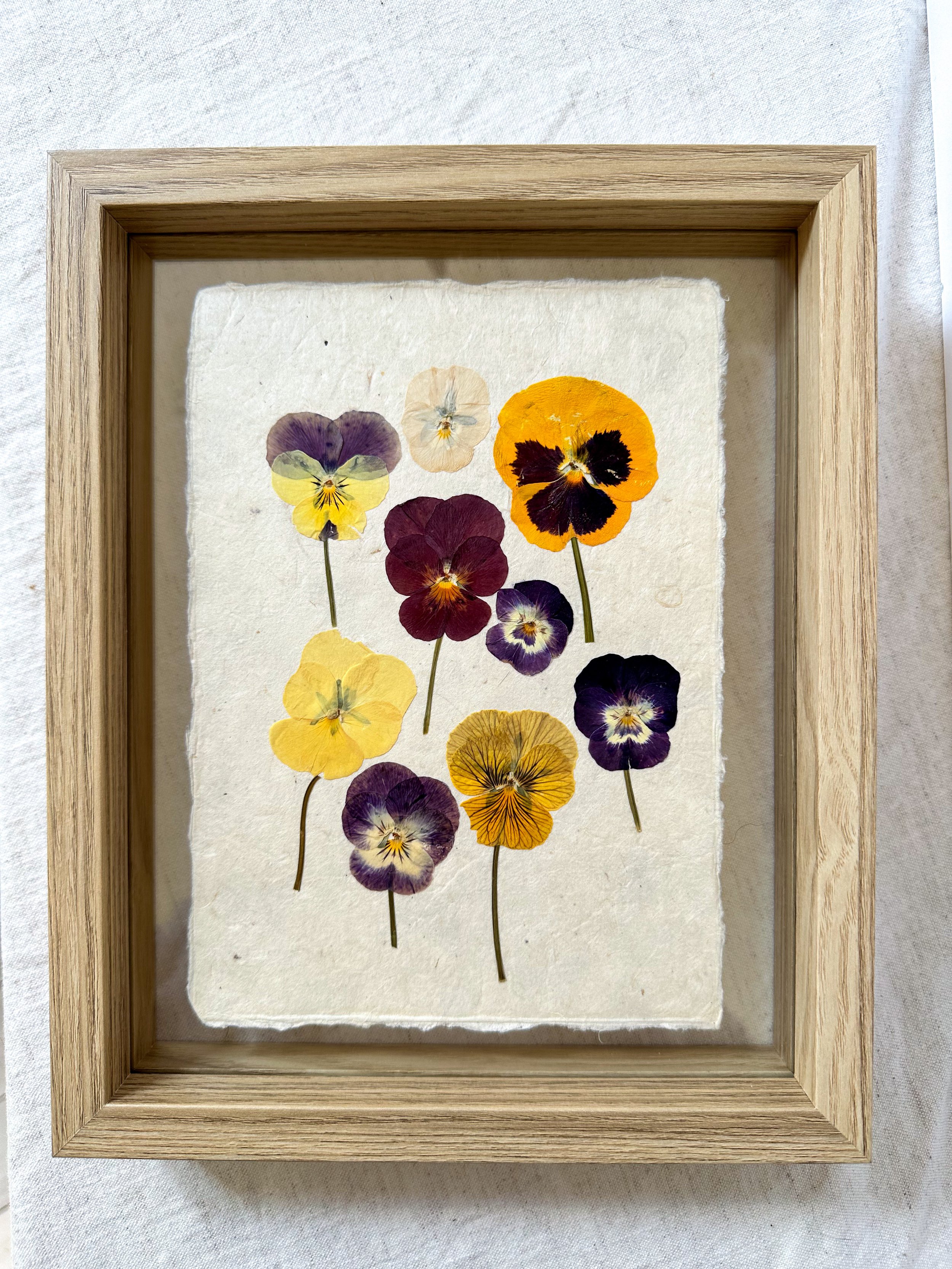Pansy Frame II