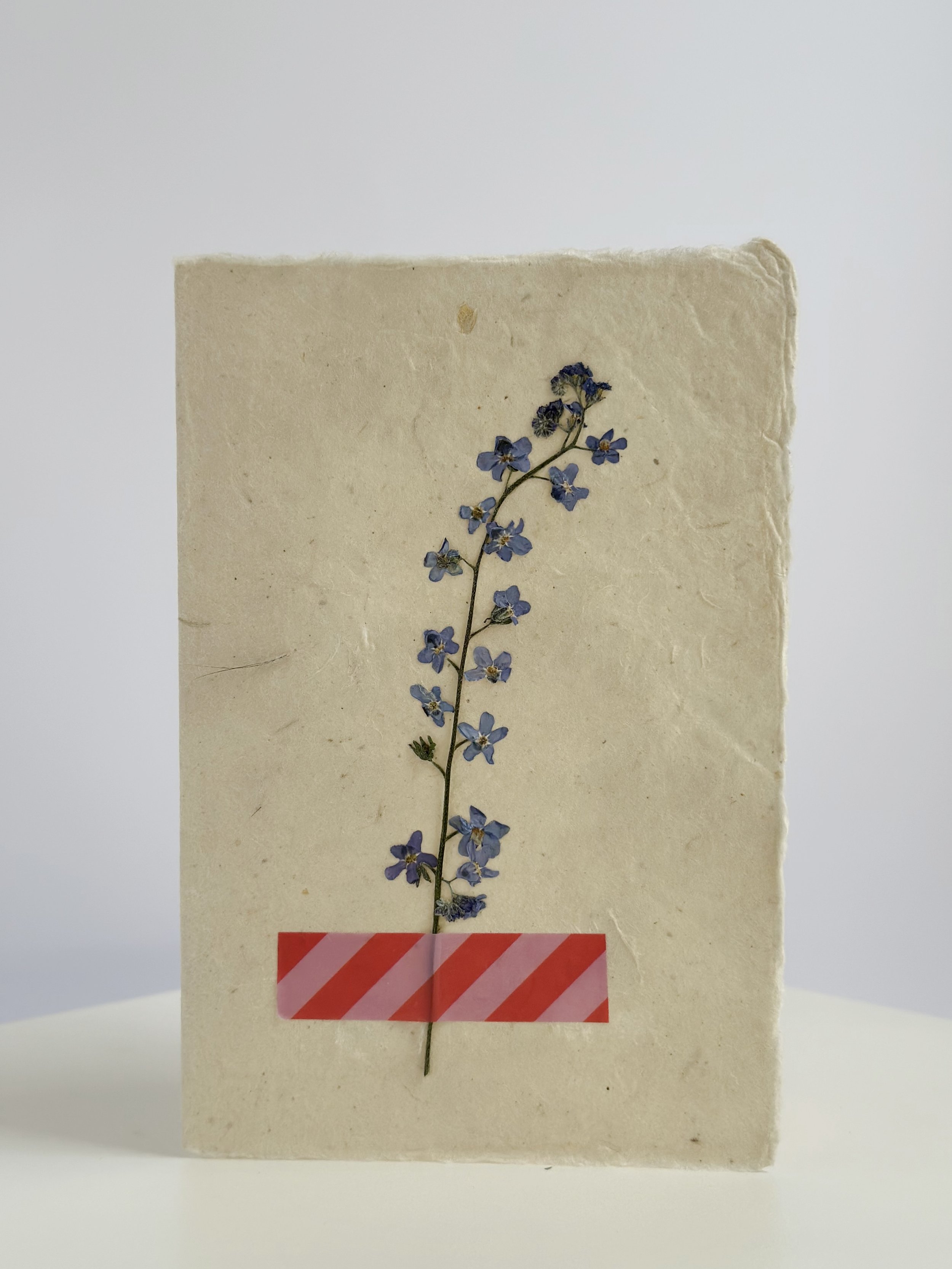 Forget-Me-Not Card