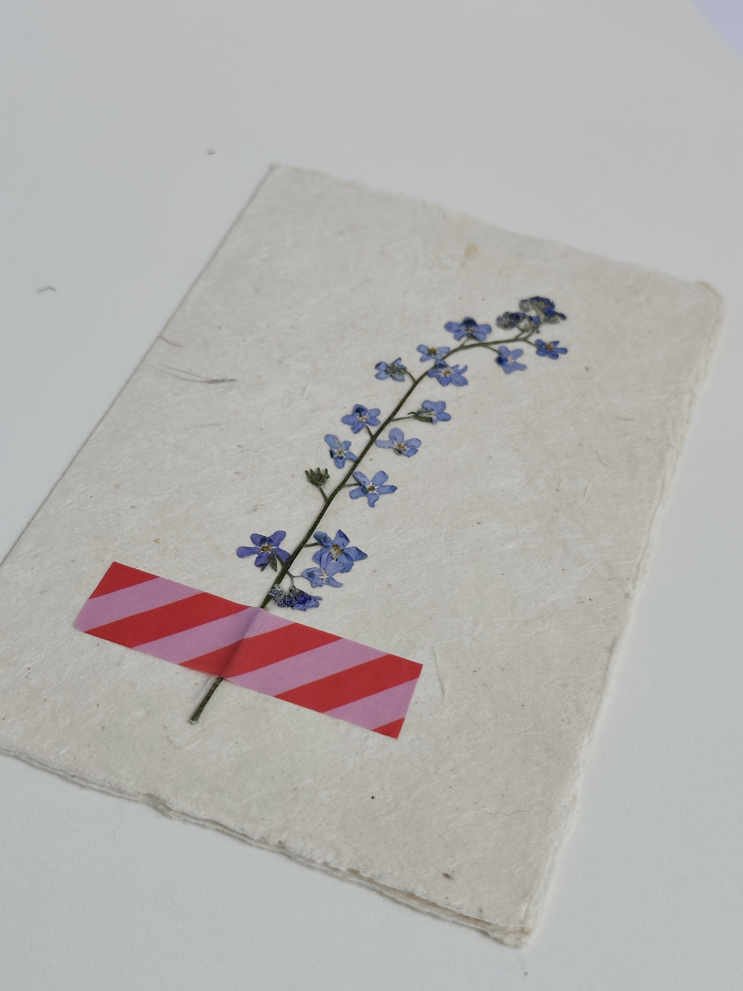 39AE075F-A6FD-4F64-AEDC-4D1A0082540F.jpeg
