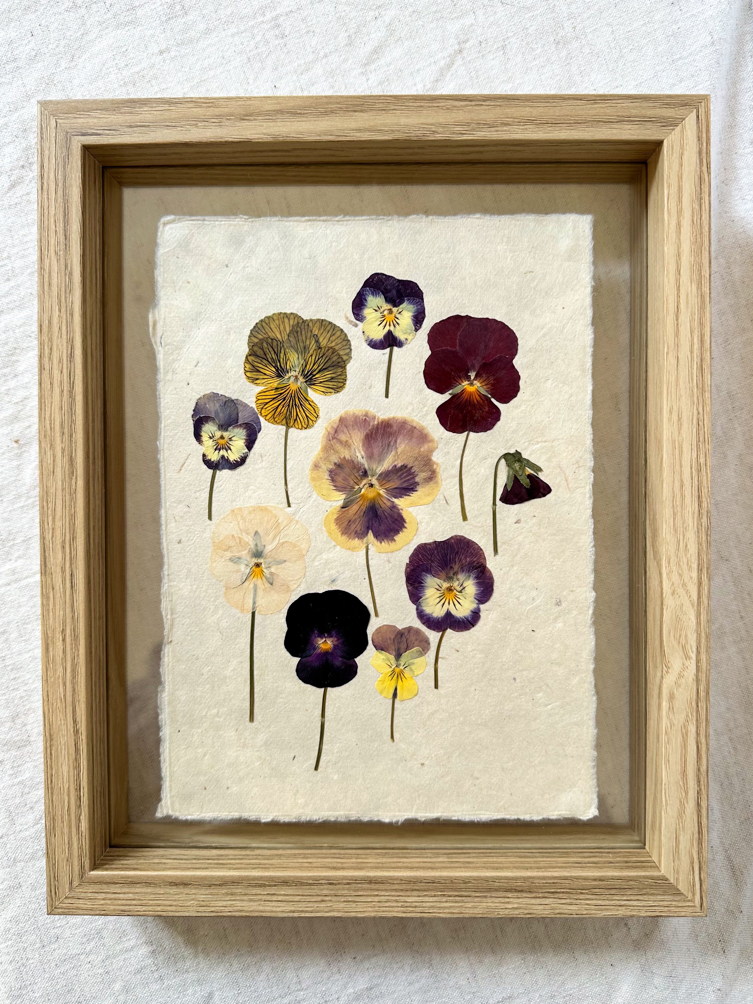 Pansy Frame I